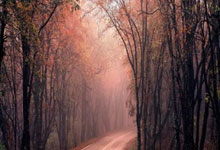 猛龙迎战人，谁能笑到最后？