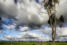 男子篮球联赛启动新一季，球迷热情高涨