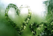 葡萄牙球员在国际比赛中斩获进球