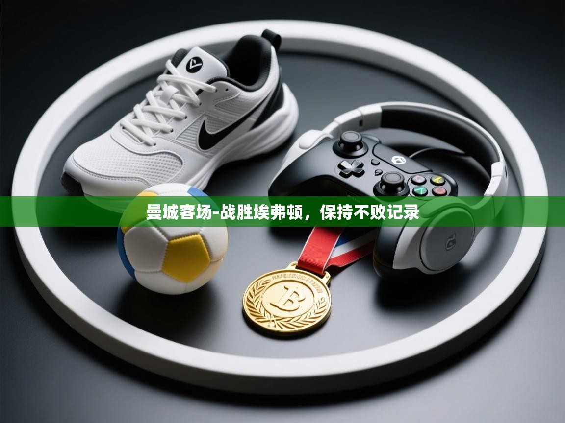 曼城客场-战胜埃弗顿,保持不败记录 第1张